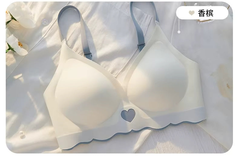 Stylish Women’s Bra Combo Pack of 2 – Soft Fabric Wire-Free Scallop Edge Bras for Daily Use