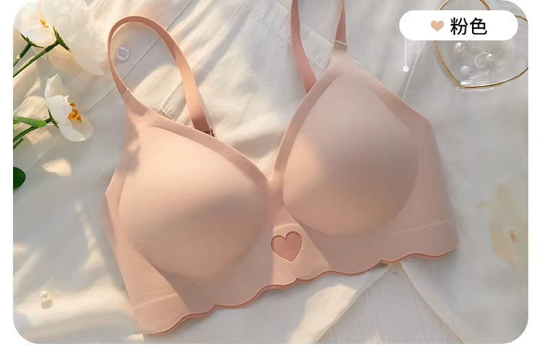 Women’s Bra Pack of 2 – Non-Padded Wire-Free Everyday Wear with Stylish Scallop Design